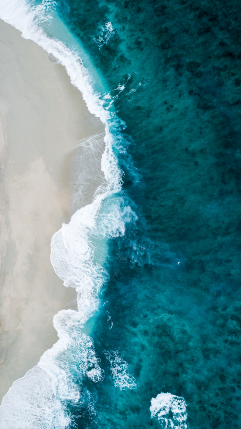 WAVES
